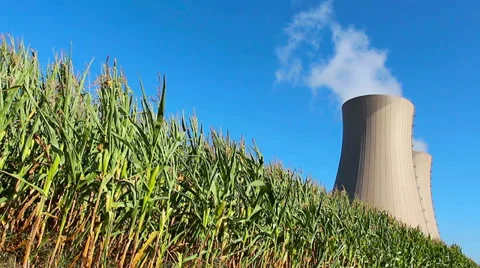 Nuclear corn HD Video stock 29982936