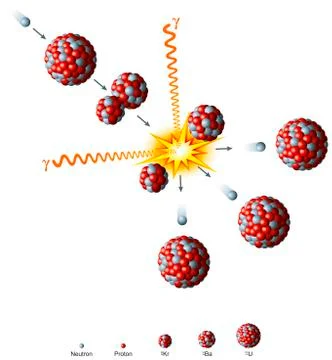 Nuclear Fission Of Uranium Stock Illustration