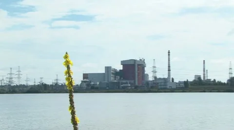 Nuclear Power Plant and Flower Stockbeeldmateriaal 7737553
