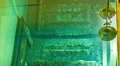 Nuclear Power Station Spent Fuel Rods In Pond HD Footage