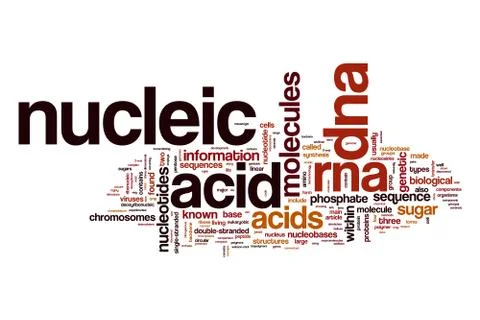Nucleic acid word cloud concept Stock Illustration