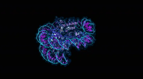 Nucleosome, rotating model Stock Footage 51490260
