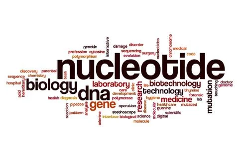 Nucleotide word cloud Stock Illustration