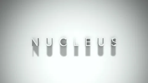 Nucleus 3D title animation with shadows on a white background Stock Footage 297385905