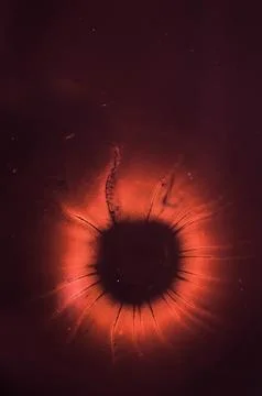 The nucleus of an atom. Fotos de archivo