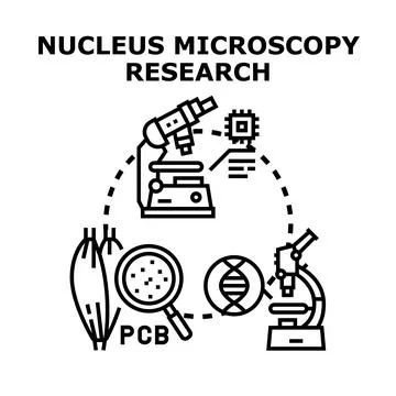 Nucleus microscopy research science and medical discovery Stock Illustration
