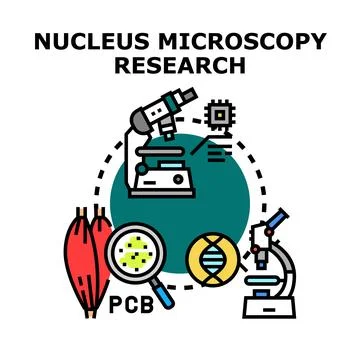 Nucleus microscopy research science and medical discovery Stock Illustration