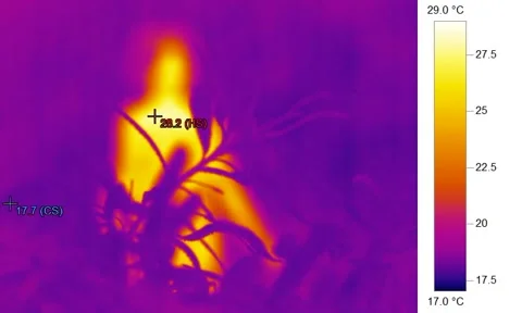 Free Stock Videos of Thermal imaging, Stock Footage in 4K and Full HD