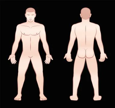 Nude Man Front View Back View Stock Illustration