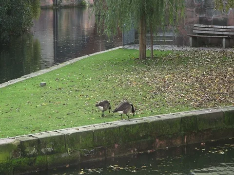 Nuernberg 4 Video stock 72860105