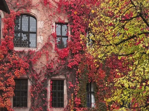 Nuernberg. Wall with windows. Video stock 72405927