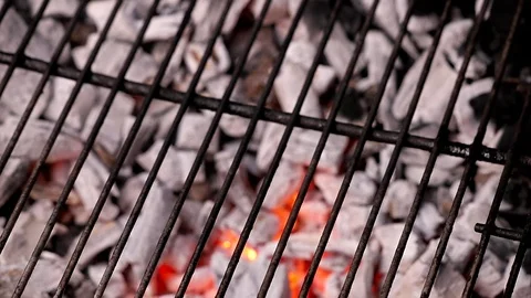 Nuernberger1 Stock Footage 113680868