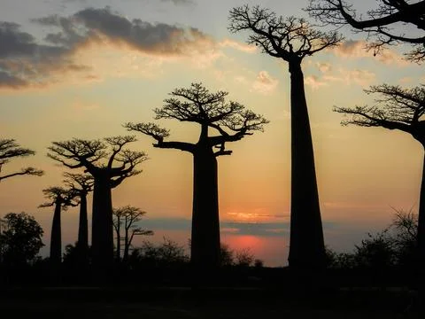 Nueva Zelanda Stock Photos