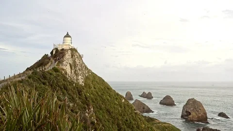 Nugget Point Lighthouse at sunset, New Zealand 스톡 동영상 78595193