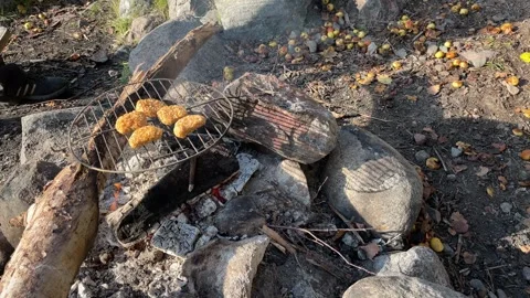 Nuggets at campfire. Stock Footage 256106212