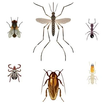 Nuisance bugs Stock Illustration