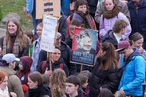  Null Nazis, Null Problemo, Alf, Plakat, Demonstration Solidarisch gegen R... Stock Photos