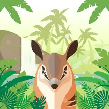 Numbat on the Jungle Background Stock Illustration