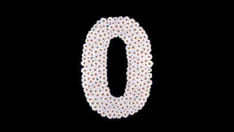 Number 0 made of white daisy flowers Stock Footage 73504951