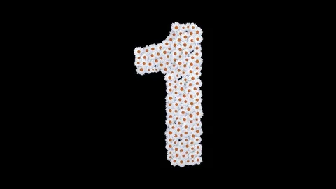 Number 1 made of white daisy flowers Stock Footage 73504870