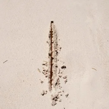 Number 1 Stock Photos