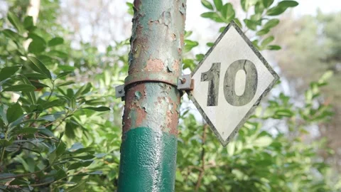 Number 10 - Park Stock Footage 256161506