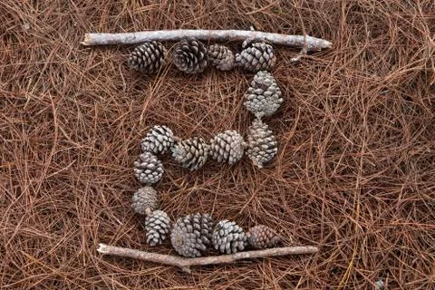 Number  2 - frame of dry cones Stock Photos