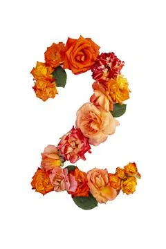 Number 2 made with real red orange roses, Stock Photos