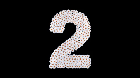 Number 2 made of white daisy flowers Stock Footage 73504913