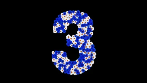 Number 3 made of cornflowers and white daisy flowers Stock Footage 73942573