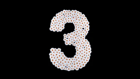 Number 3 made of white daisy flowers Stock Footage 73504893