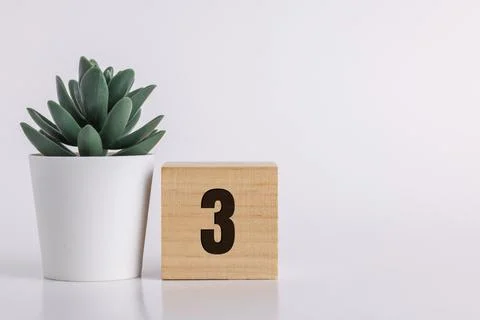 Number  3 on wooden pine block on white background next to a succulent plant  Stockfoto's