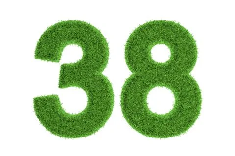 Number 38 with a green grass texture Stock Illustration
