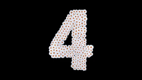 Number 4 made of white daisy flowers Stock Footage 73504899