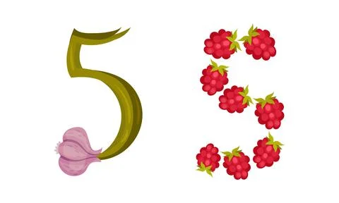 Number 5 Five made of fresh garlic and raspberry cartoon vector illustration 스톡 일러스트