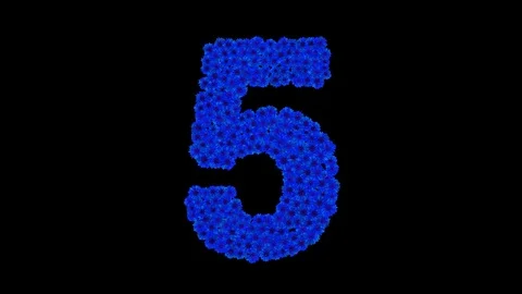 Number 5 made of cornflowers Stock Footage 73941775