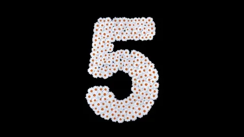 Number 5 made of white daisy flowers Stock Footage 73504904