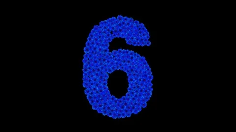 Number 6 made of cornflowers Stock Footage 73941782