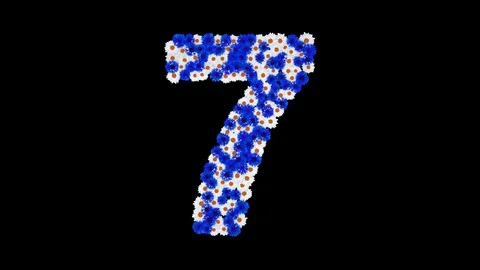 Number 7 made of cornflowers and white daisy flowers Stock Footage 73942528