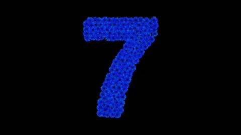 Number 7 made of cornflowers Stock Footage 73941777