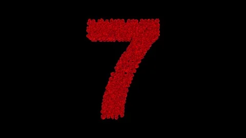 Number 7 made of red roses Stock Footage 74167158