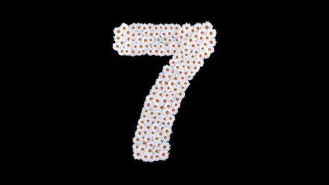 Number 7 made of white daisy flowers Stock Footage 73504910