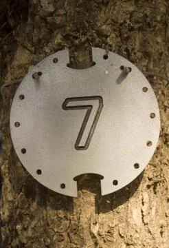 Number 7 Stock Photos