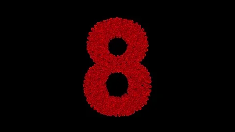 Number 8 made of red roses Stock Footage 74167211