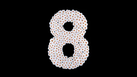 Number 8 made of white daisy flowers Stock Footage 73504933
