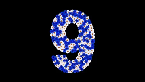 Number 9 made of cornflowers and white daisy flowers Stock Footage 73942595