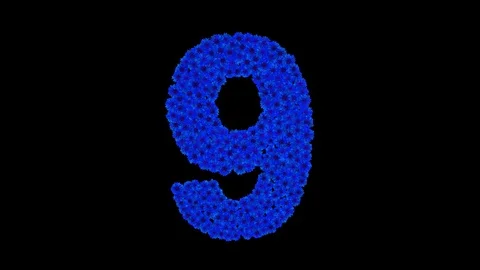 Number 9 made of cornflowers Stock Footage 73941768