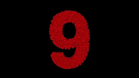 Number 9 made of red roses Stock Footage 74167247