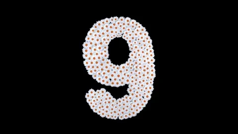 Number 9 made of white daisy flowers Stock Footage 73504917