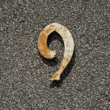 Number 9 Stock Photos